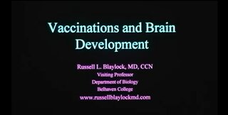 Vaccines And Brain Development - Dr Russell Blaylock, MD (2008)