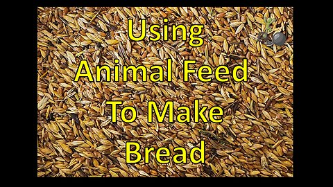Using Animal Feed to Make Whole Wheat Bread
