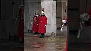 Trumpet player horse guards parade #horseguardsparade