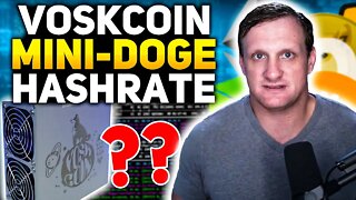 Goldshell Mini Doge Voskoin Special Edition Review