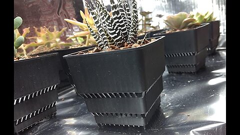 BangQiao 3.00 Inch Plastic Square Nursery Air Pot Planter Container, Pack of 8, Black