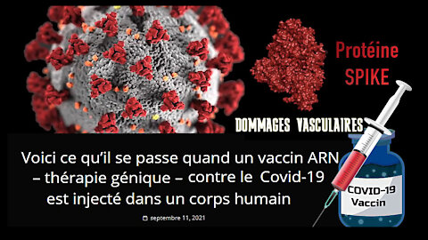 Le VACCIN ARNm anti-covid fonctionne comment ? Le processus est ici détaillé ainsi que ses conséquences (Hd 720)...