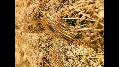 Can You Find A Needle In A Haystack?