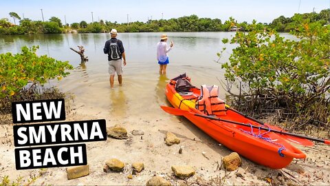 Kayaking New Smyrna Beach Florida | Indian River North Loop (& Baby Pelicans!)
