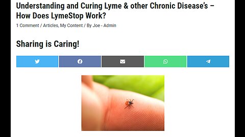 ARTICLE: Understanding and Curing Lyme & other Chronic Disease’s - How Does LymeStop Work?