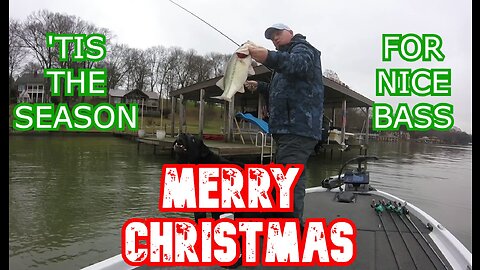 Merry Christmas!!! 'Tis The Season For Nice Bass