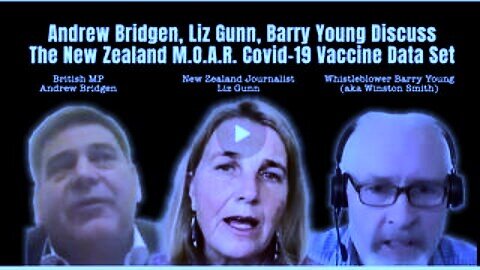 UK MP Andrew Bridgen Discuss New Zealand Liz Gunn and Barry Young Covid-19 Leaked Data Deaths