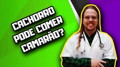 Cachorro pode comer camarão? #shorts