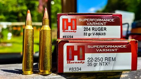 .204 Ruger vs .22-250 WORLD'S FASTEST BULLETS???