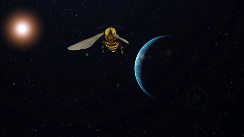CW - Bee Comp (5)