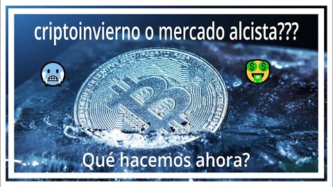 Criptoinvierno 🥶 o mercado alcista 🤑