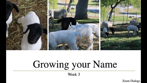 Week 3 (Growing your name)