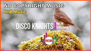 Disco Knights - Quincas Moreira: RnB and Soul Music | Funky Music