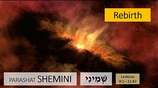 Parashat Shemini: Leviticus 9:1—11:47 – Rebirth