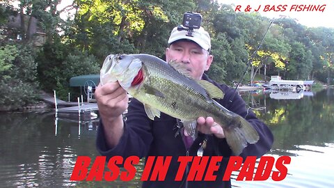 WOODLAND LAKE MICHIGAN BASS FISHING