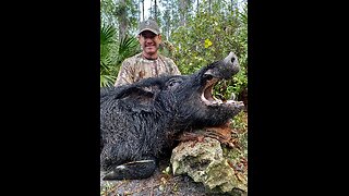 HOG HUNTERS