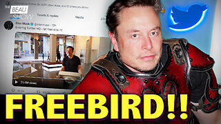 Free Bird! Elon Frees It! | The Beau Show