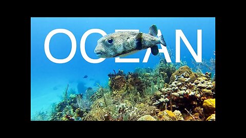 Beautiful Calm Relaxing Stress Relief || Beautiful Ocean