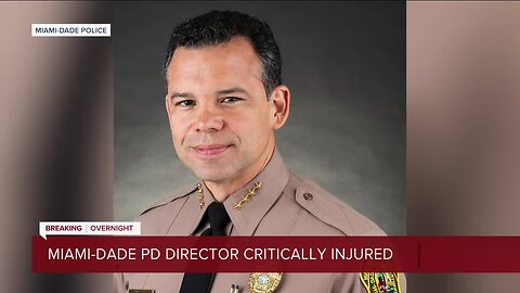 Miami-Dade Police Director Freddy Ramirez 'critically injured' in Tampa