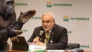 Conversa aberta sobre a politica de preço na Petrobras.
