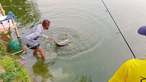 দুই ভায়রার কাতলা শিকার/Big katla fish catching