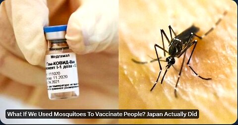 UNPRECEDENTED MOSQUITO SWARMS INVADING MULTIPLE COUNTRIES*LEAVING US DEFENSELESS....