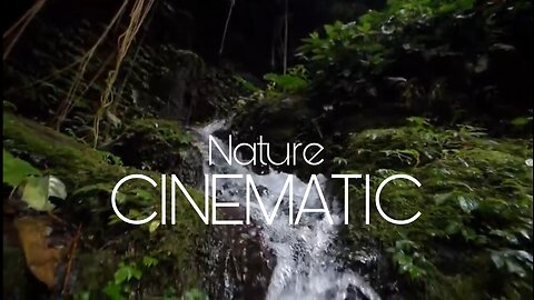 cinematic nature || backsound music