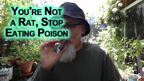 Do You Know Why Rats Eat Rat Poison? Because They’re Rats: You're Not a Rat, Stop Eating Poison