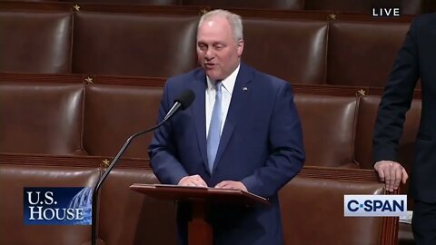 Republican Whip Steve Scalise speaks on the House Floor