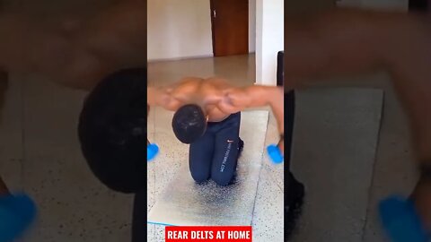 Rear Delts Workout For Beginners At Home #shorts #athome #workout #beginners #reardelts