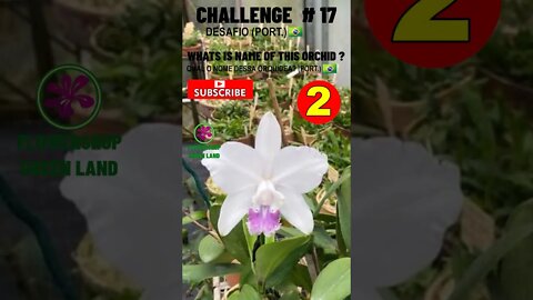 CHALLENGE # 17 |WHATS IS NAME OF THIS ORCHIDS?|YOU WANT TO LEARN? |# SHORTS