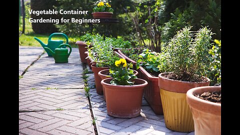 Vegetable Container Gardening for Beginners