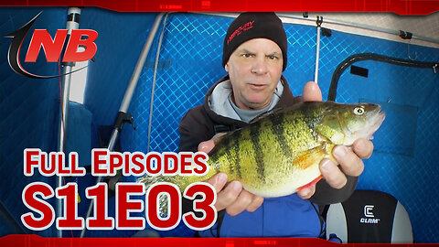 Season 11 Episode 03: Icing Lake Gogebic Perch