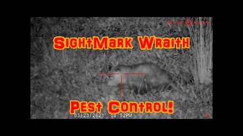 Sightmark Wraith 2X Pest Control Footage!