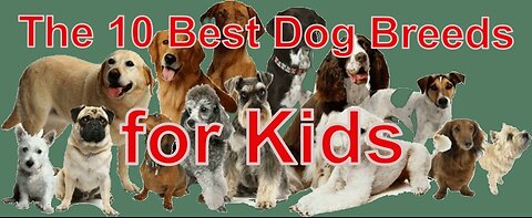 Top 10 dogs for kids