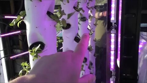 Hydroponic Vertical Growing Towers - How I Made Mine