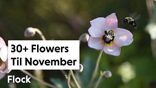 30+ Flowers BLOOMING Until NOVEMBER — Ep. 217