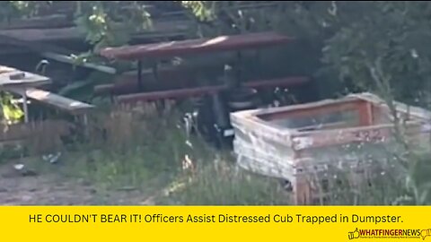 HE COULDN'T BEAR IT! Officers Assist Distressed Cub Trapped in Dumpster.