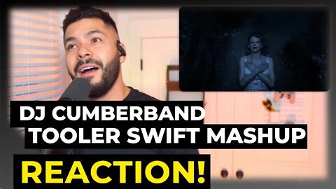 TOOLer Swfit Mashup - DJ Cumberband (Reaction!)