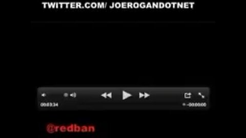 Joe Rogan Experience #4 Brian Redban