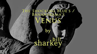 Venus - Shocking Blue / Bananarama (cover-live by Bill Sharkey)