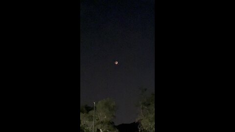 Beaver Blood Moon Total Lunar Eclipse 2 #4K #HDR #DolbyVision￼