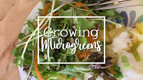 Our Daughters Tried Their Hand at Growing Microgreens