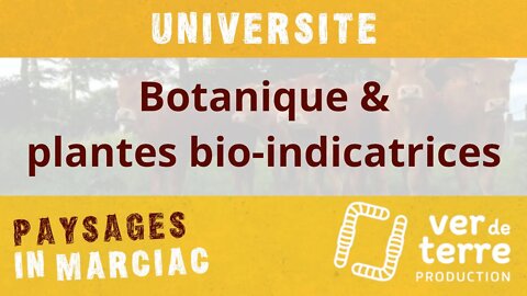 Université "Botanique & plantes bio-indicatrices"