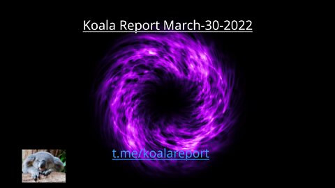 Koala Report Update for March 30th 2022