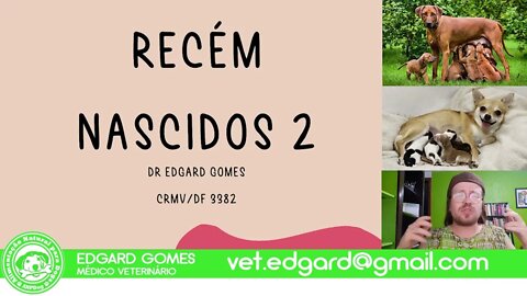 Cuidados com os filhotes recém nascidos [2] | Semana Especial Dia das Mães | Dr Edgard Gomes