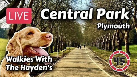 Lockdown 3 LIVE Walk | Central Park Plymouth | 45min Virtual Dog Walk