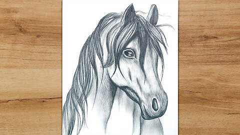 Beautiful Horse Sketch / Drawing