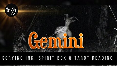 iScry Gemini ♊ Should I stay or go? Skinwalker, Land, Home & History