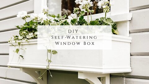 DIY Self-Watering Window Box